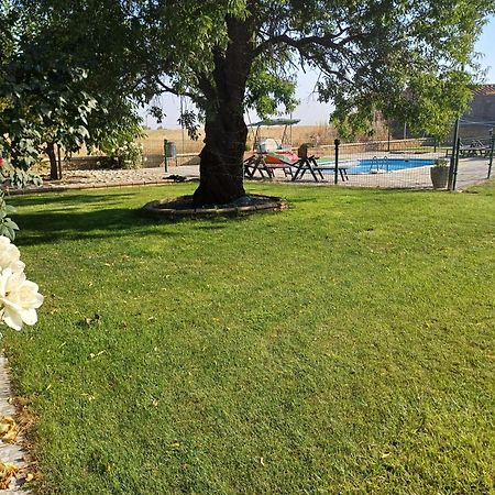 El Almendro Del Cura Villa Villarmayor  Екстериор снимка