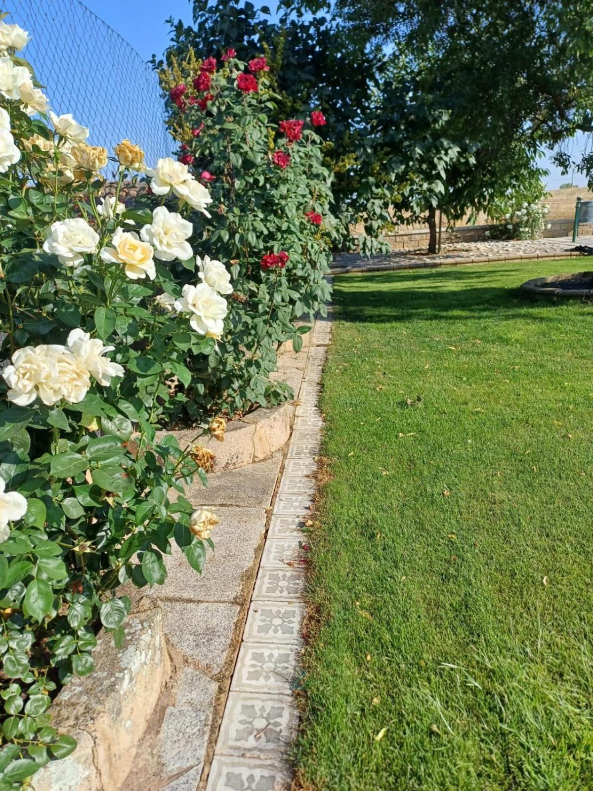 El Almendro Del Cura Villa Villarmayor  Екстериор снимка