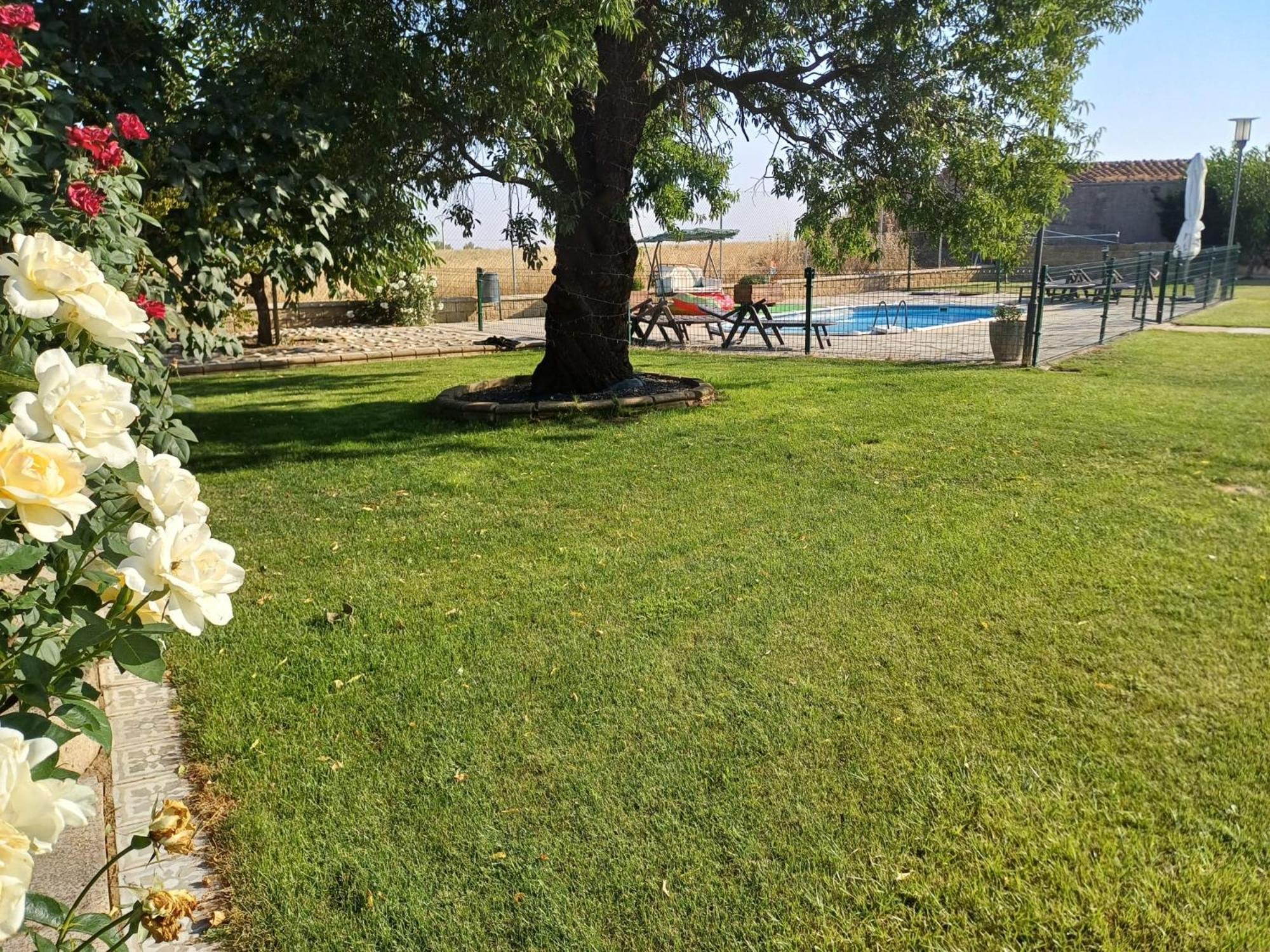 El Almendro Del Cura Villa Villarmayor  Екстериор снимка
