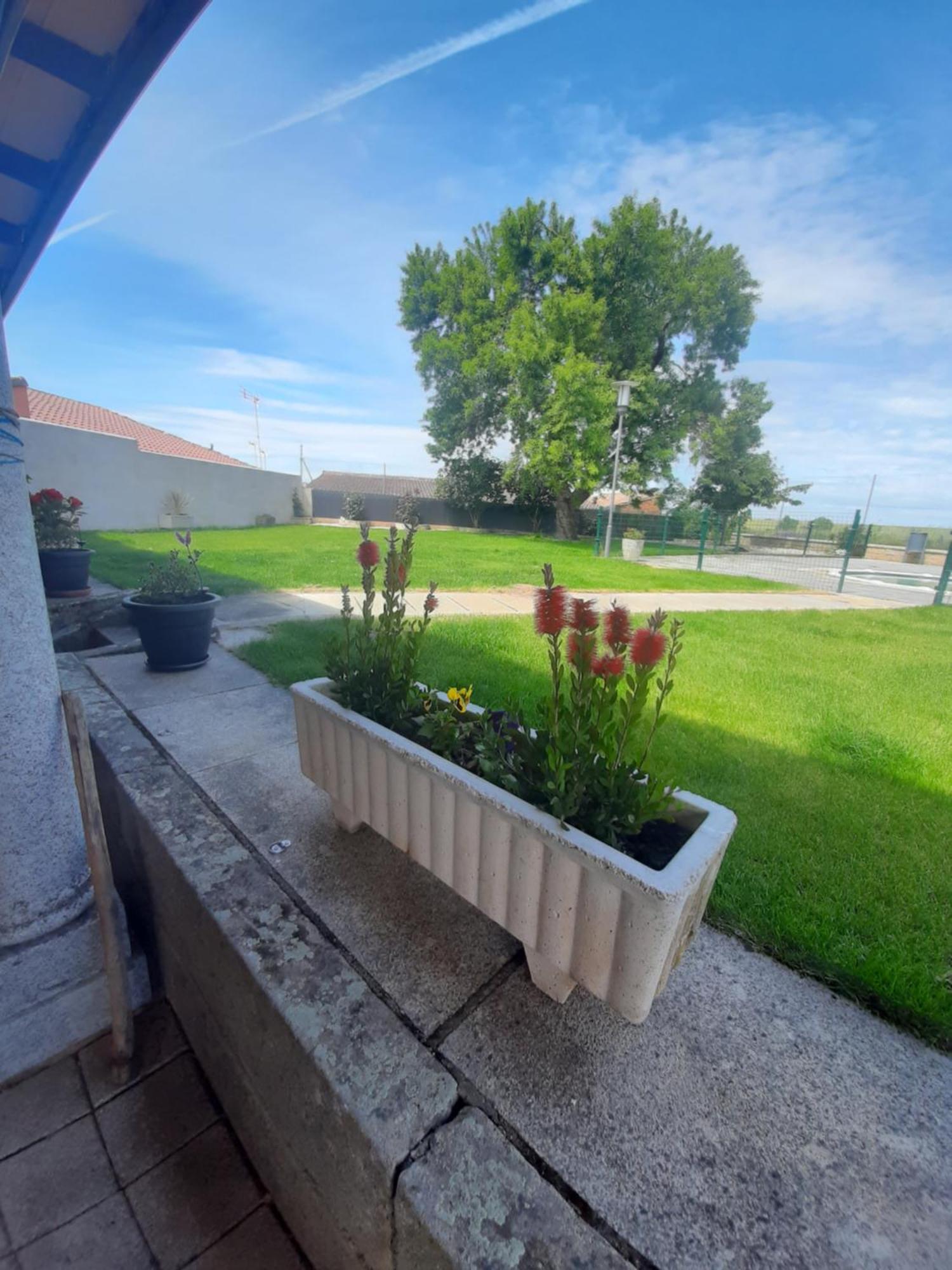 El Almendro Del Cura Villa Villarmayor  Екстериор снимка